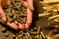 free Polmarth biomass boiler quotes